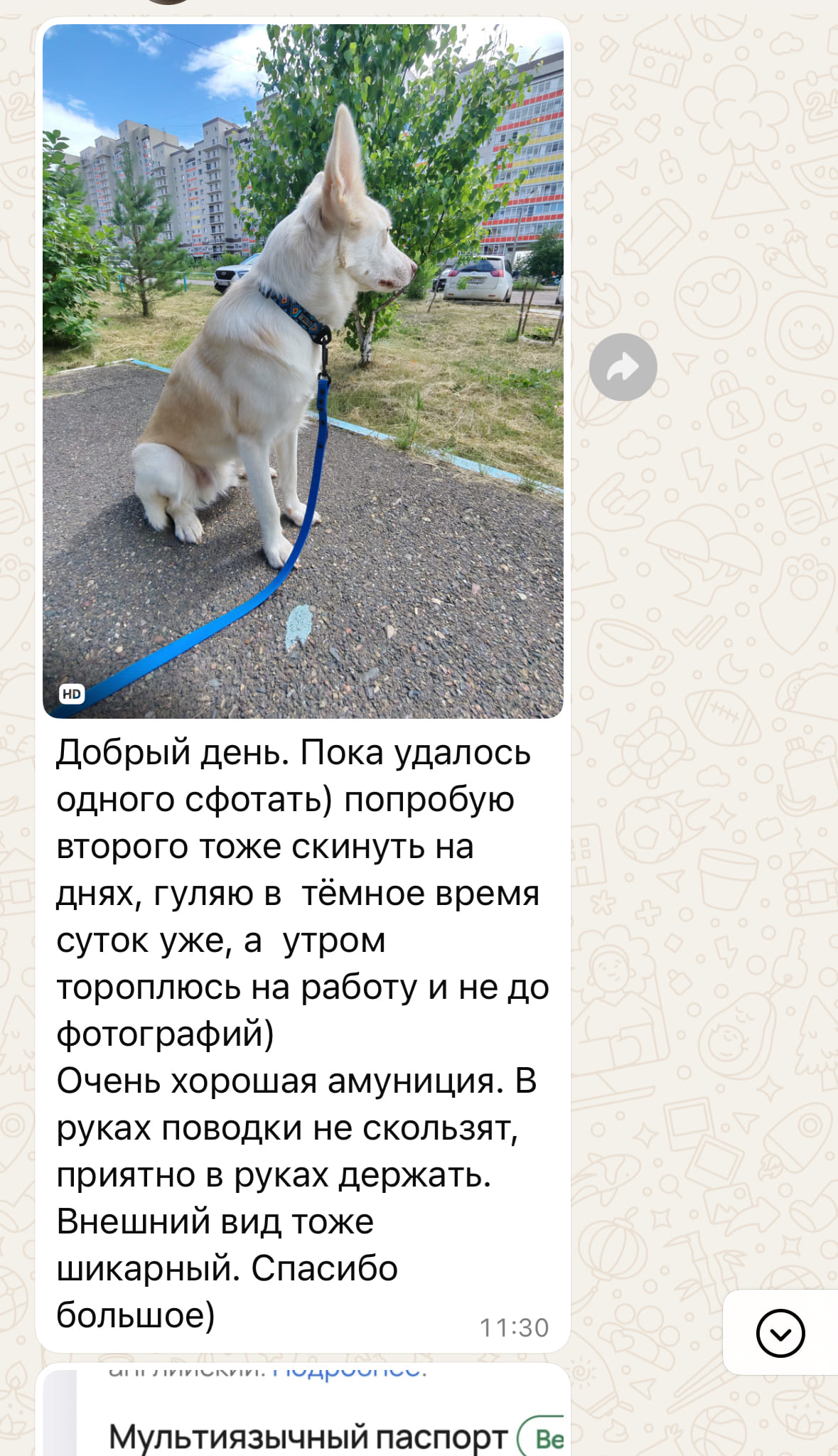 Отзыв 6