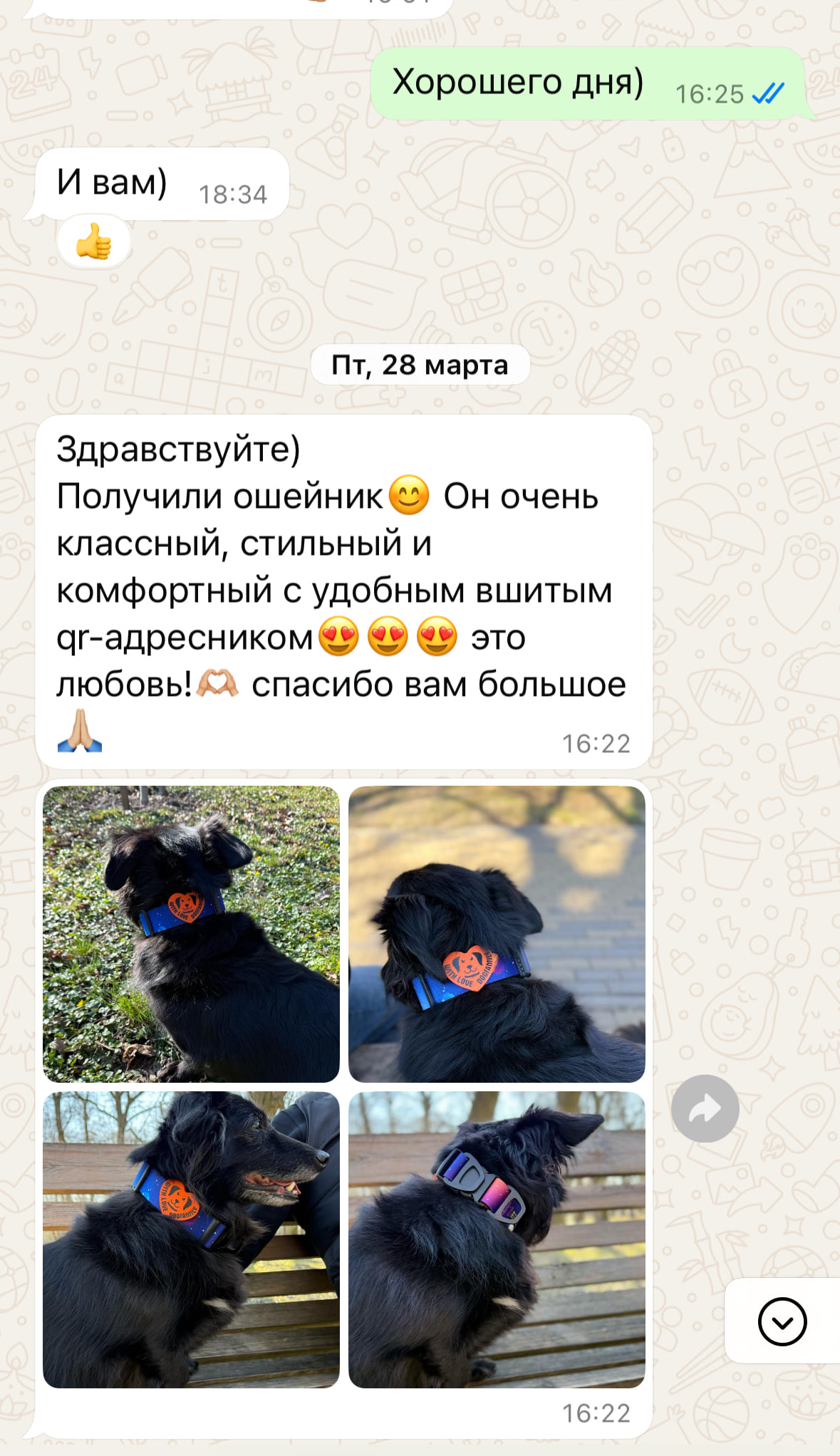 Отзыв 2