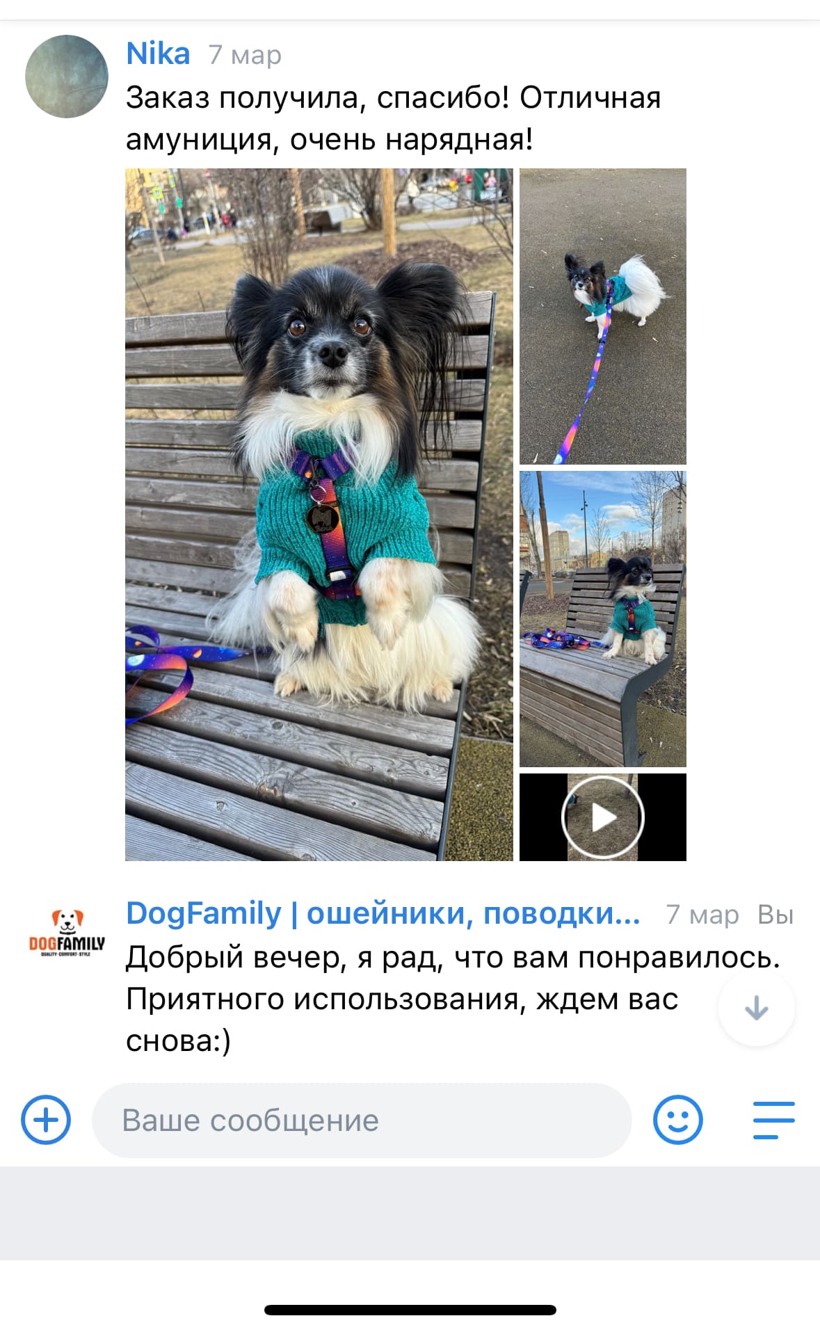 Отзыв 7