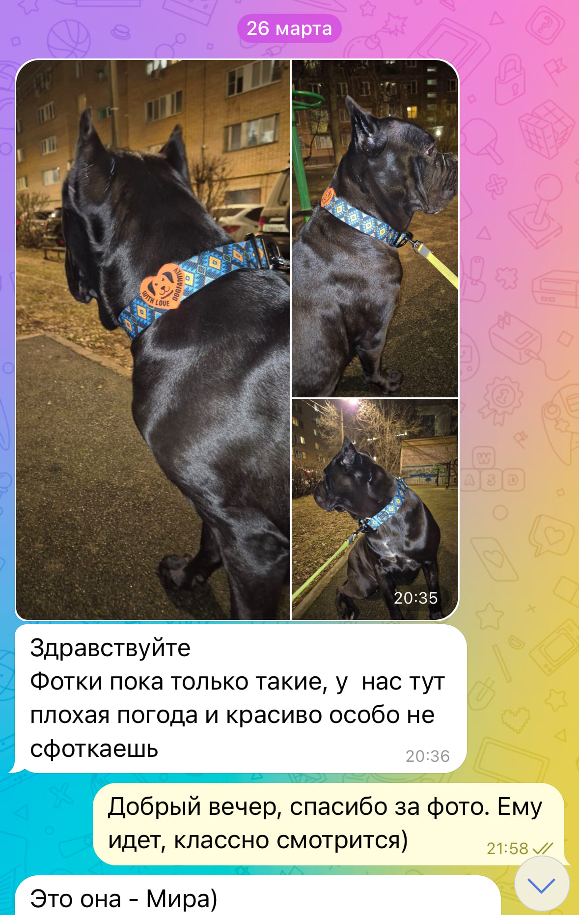 Отзыв 8