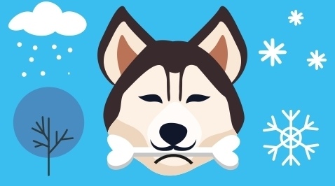 Husky