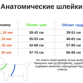 Анатомическая шлейка Dino