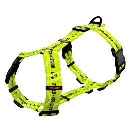 Анатомическая шлейка Rich Light Green